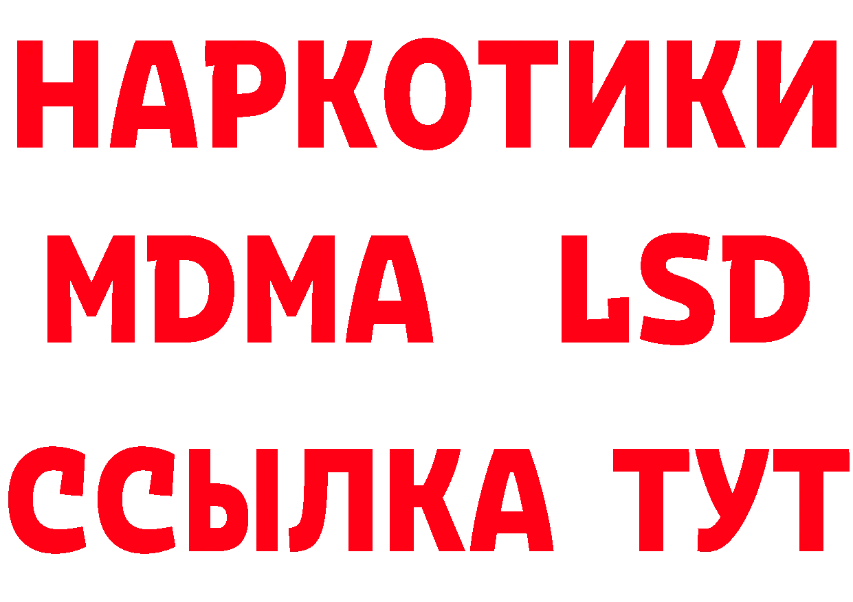 Галлюциногенные грибы Psilocybe как войти площадка кракен Островной