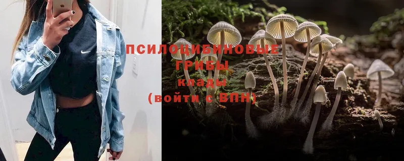 Галлюциногенные грибы Magic Shrooms  продажа наркотиков  Островной 